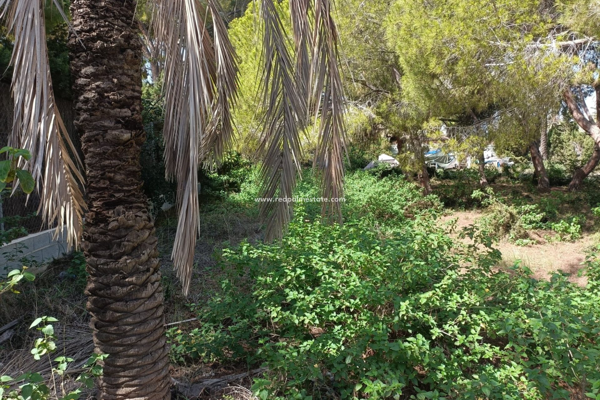 Revente - Parcelle -
Orihuela Costa - Cabo Roig