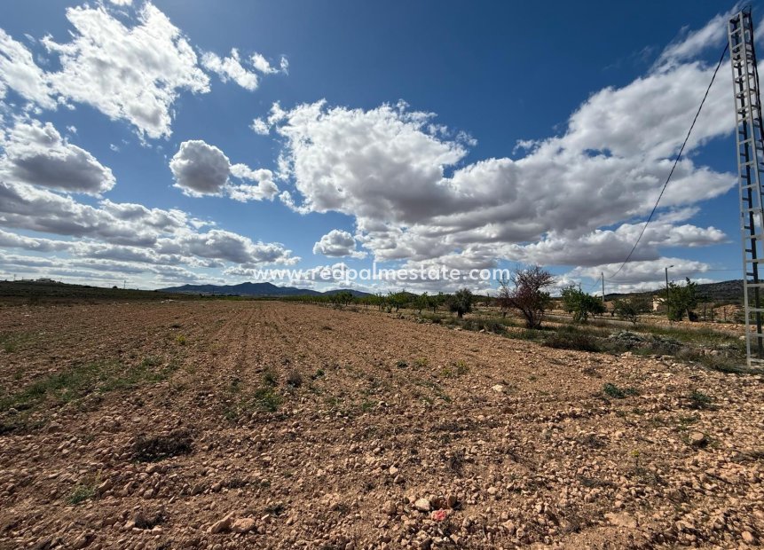 Revente - Parcelle -
Pinoso - Inland