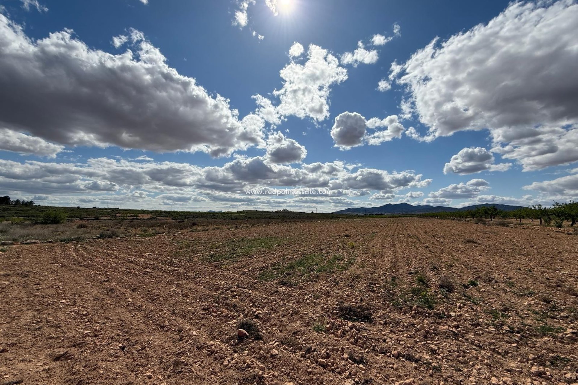 Revente - Parcelle -
Pinoso - Inland