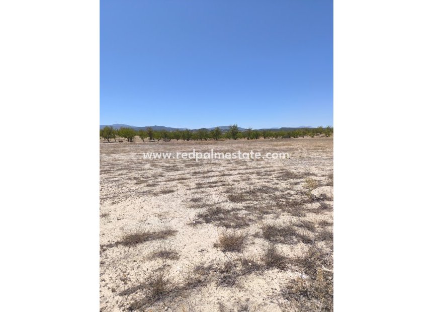 Revente - Parcelle -
Pinoso - Inland