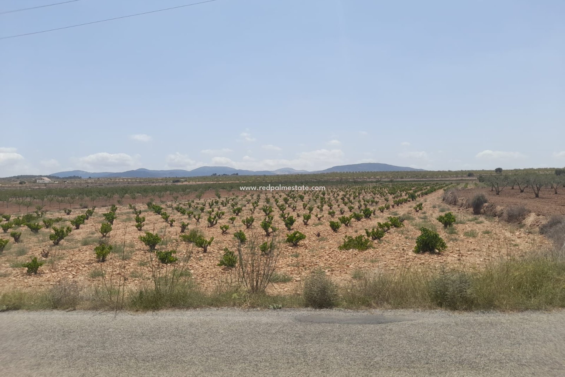 Revente - Parcelle -
Pinoso - Inland