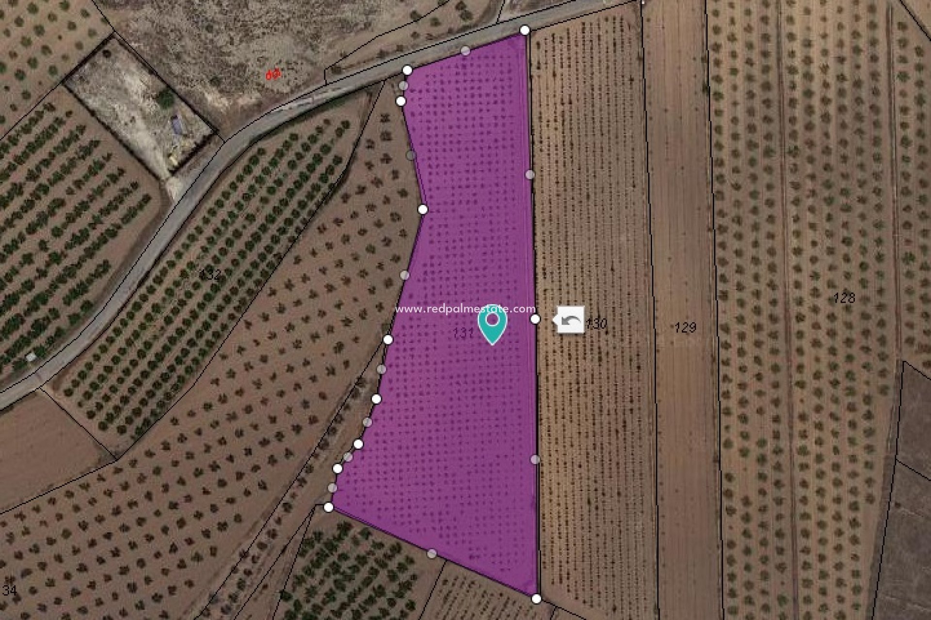 Revente - Parcelle -
Pinoso - Inland