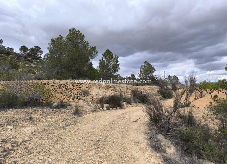 Revente - Parcelle -
Pinoso - Inland