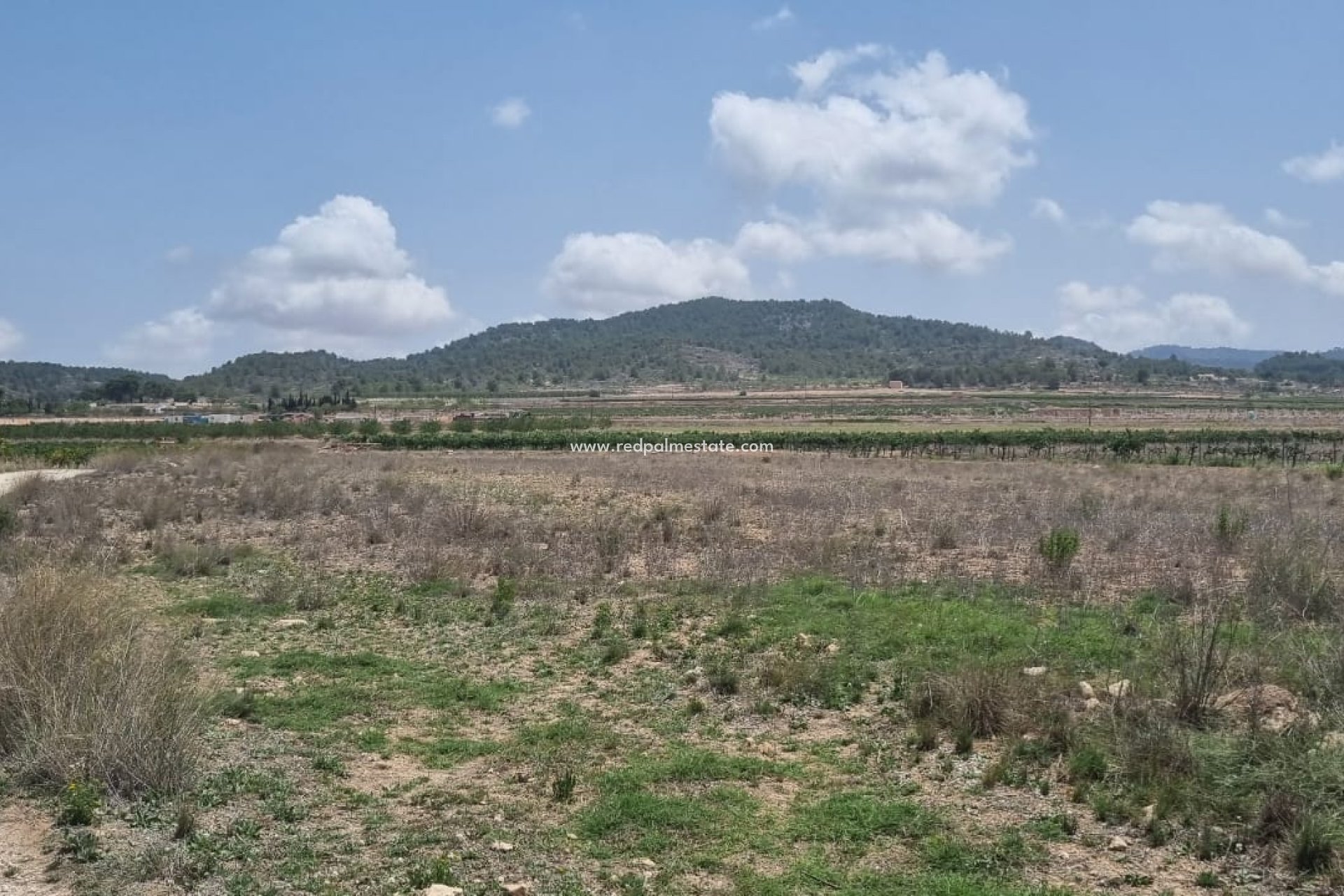 Revente - Parcelle -
Pinoso - Inland