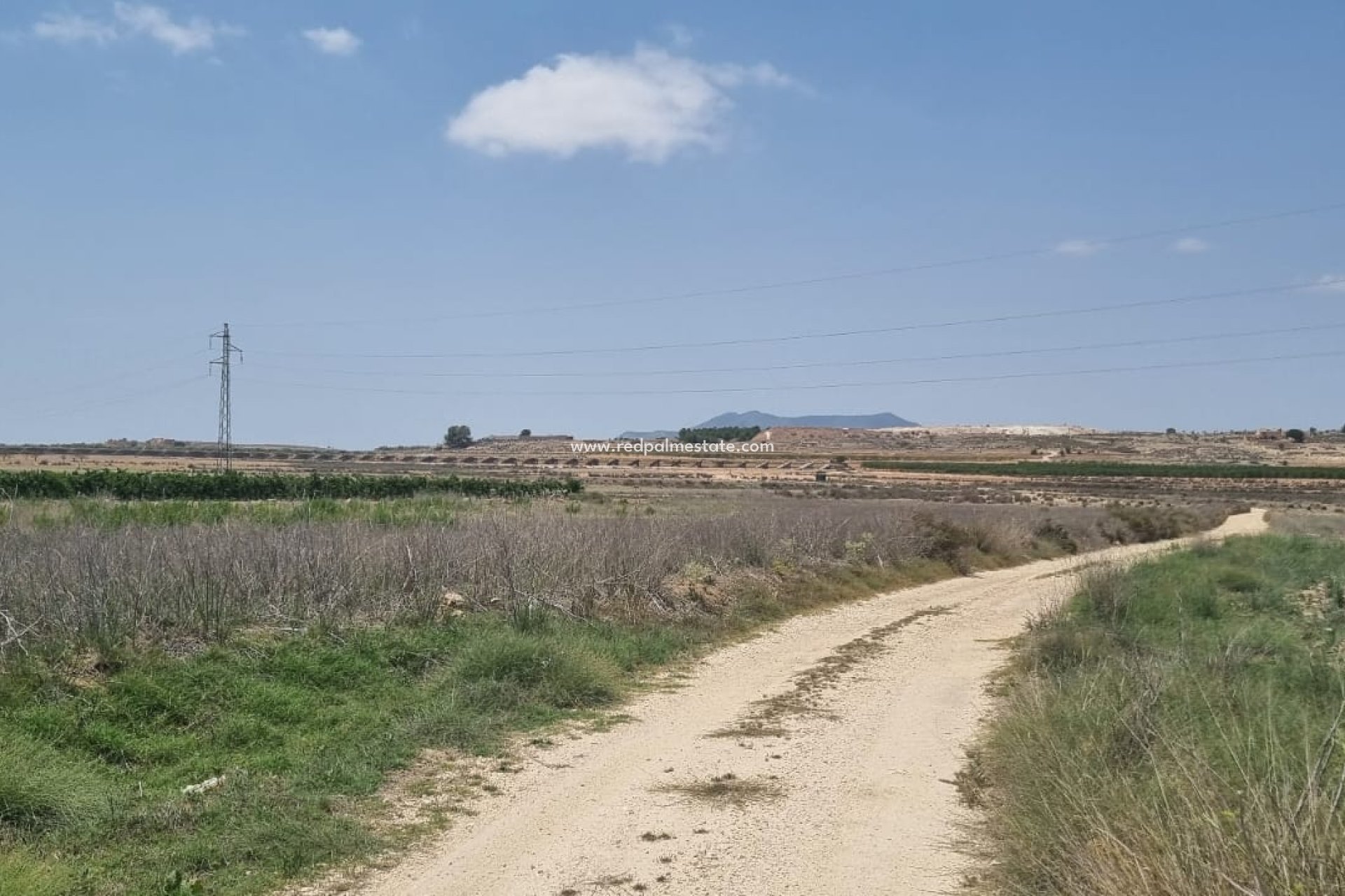 Revente - Parcelle -
Pinoso - Inland