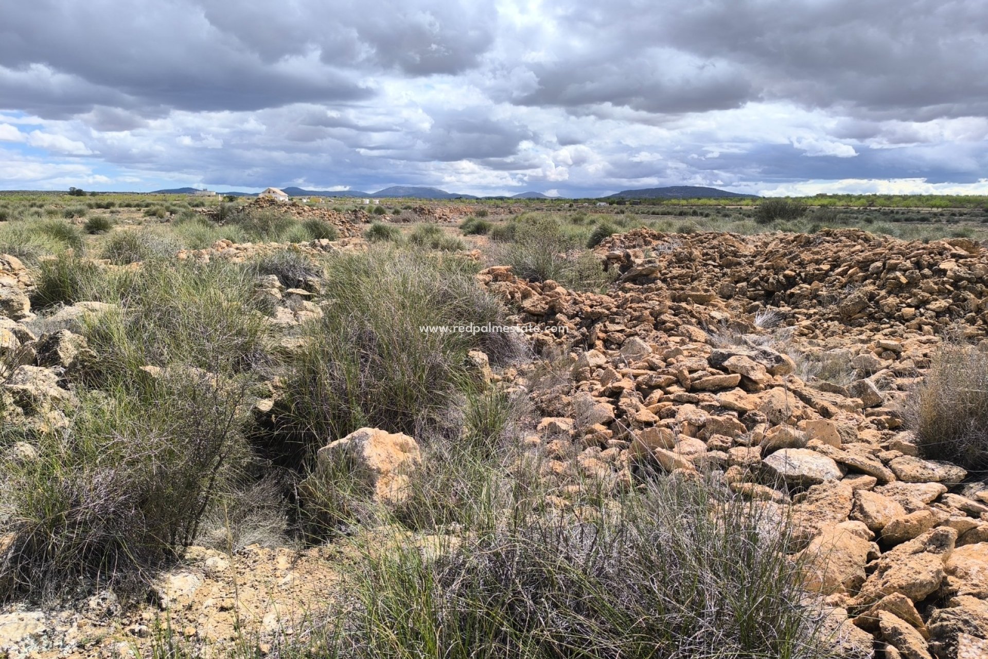 Revente - Parcelle -
Pinoso - Inland