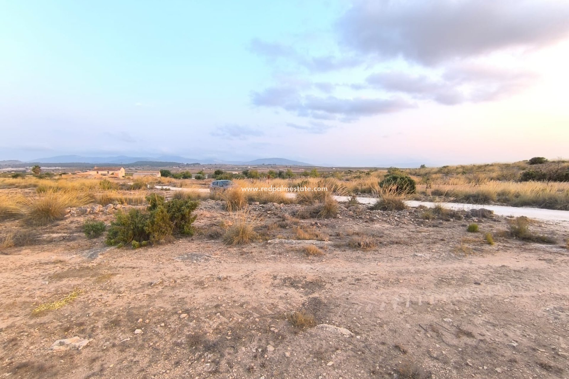 Revente - Parcelle -
Pinoso - Inland