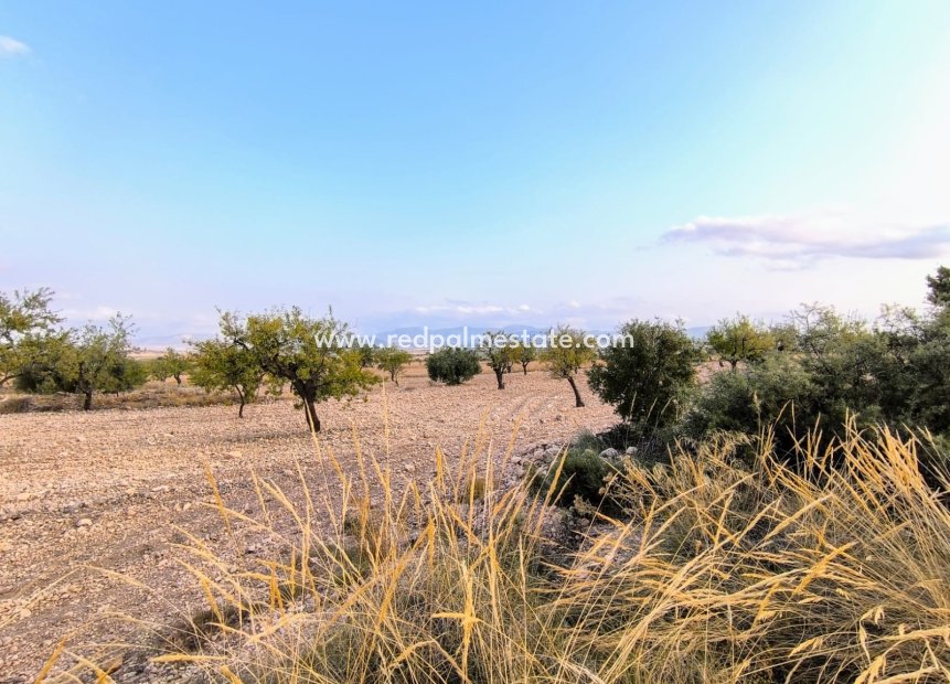 Revente - Parcelle -
Pinoso - Inland