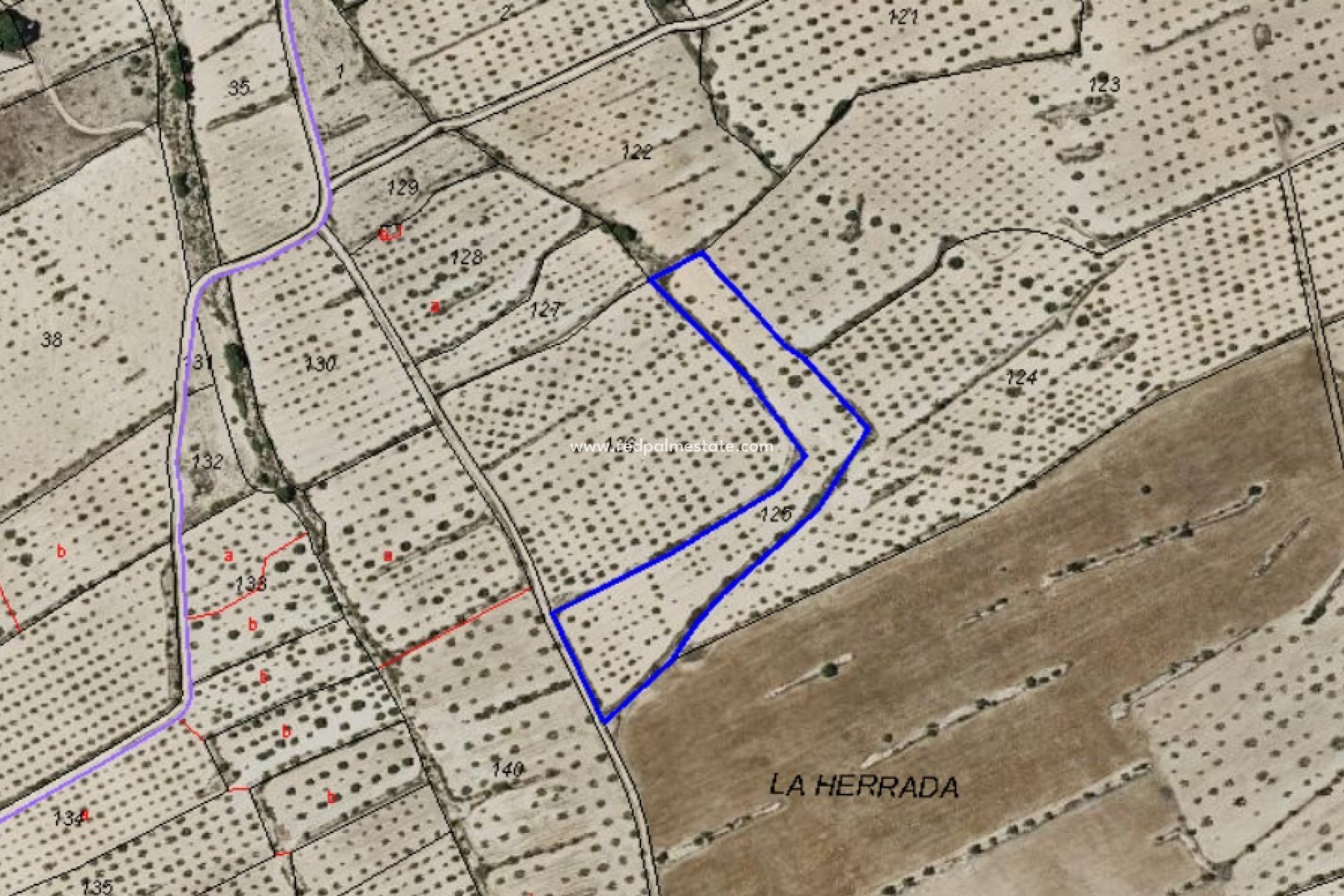 Revente - Parcelle -
Pinoso - Inland