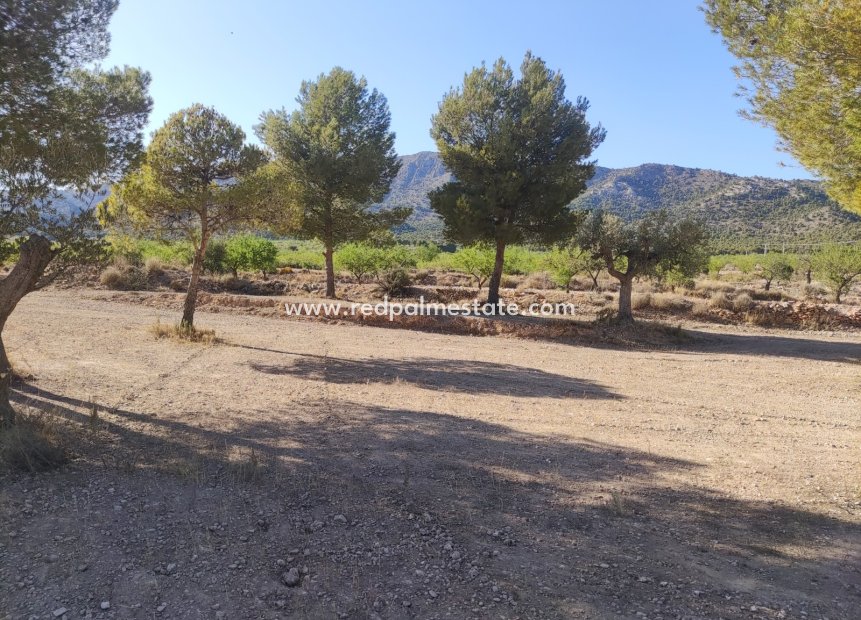 Revente - Parcelle -
Pinoso - Inland