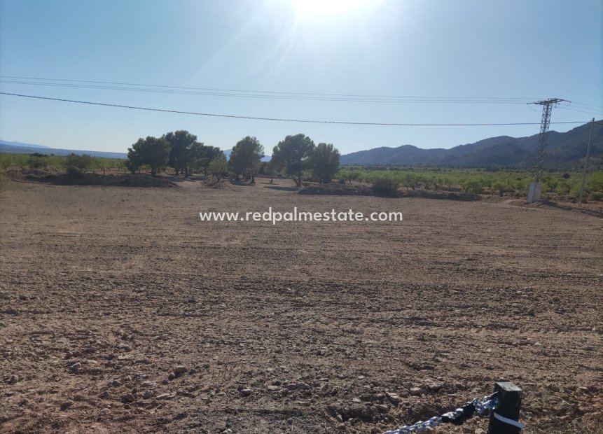 Revente - Parcelle -
Pinoso - Inland