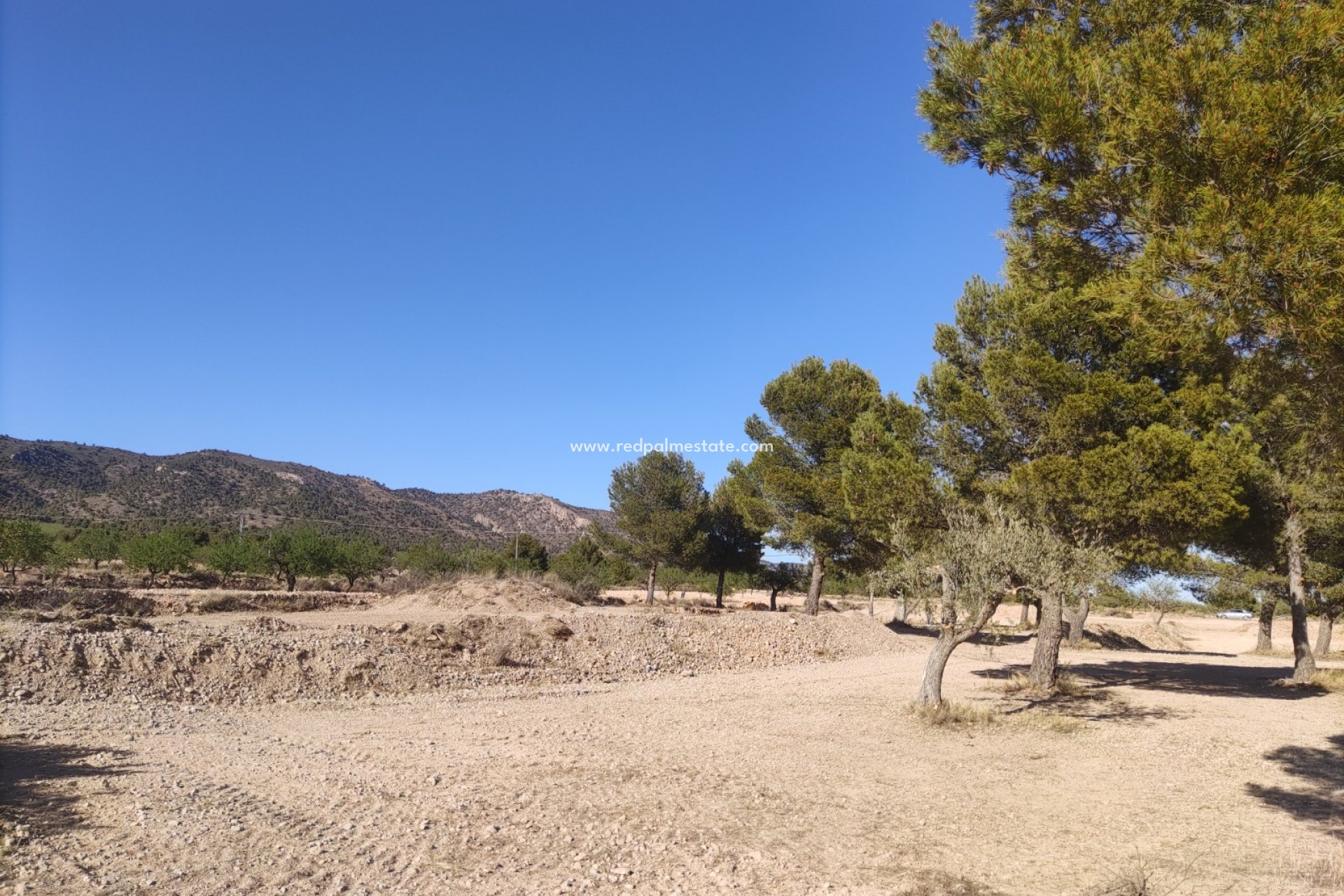 Revente - Parcelle -
Pinoso - Inland