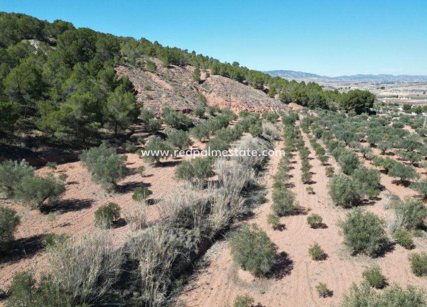 Revente - Parcelle -
Pinoso - Inland