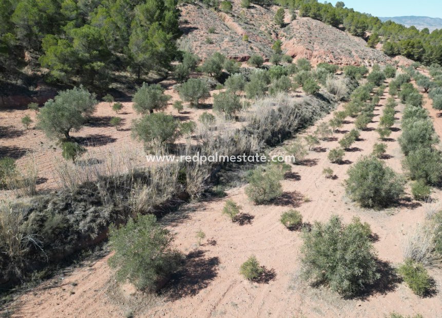 Revente - Parcelle -
Pinoso - Inland
