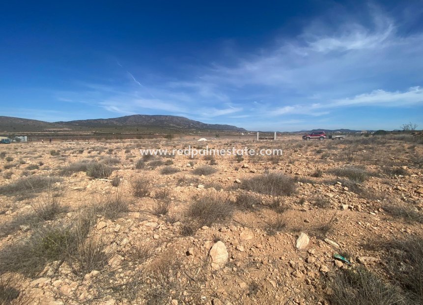 Revente - Parcelle -
Pinoso - Inland