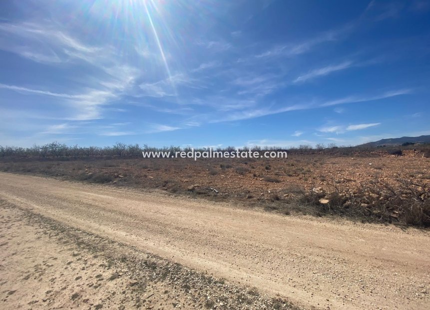 Revente - Parcelle -
Pinoso - Inland