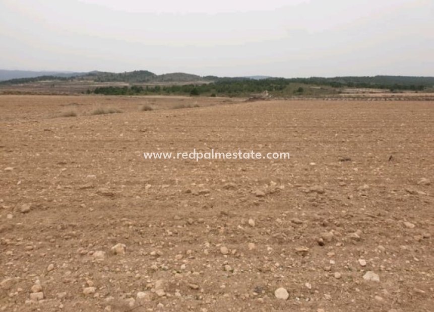 Revente - Parcelle -
Pinoso - Inland