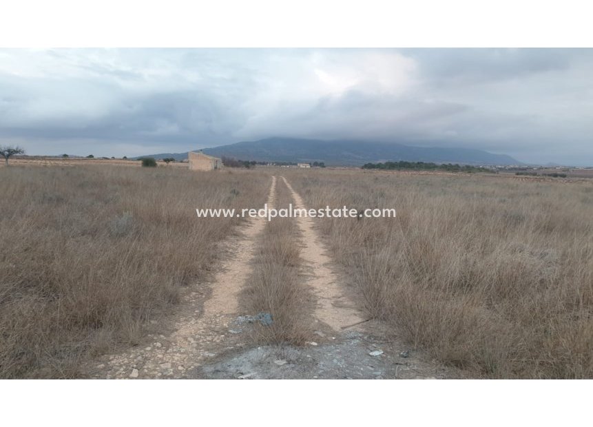 Revente - Parcelle -
Pinoso - Inland