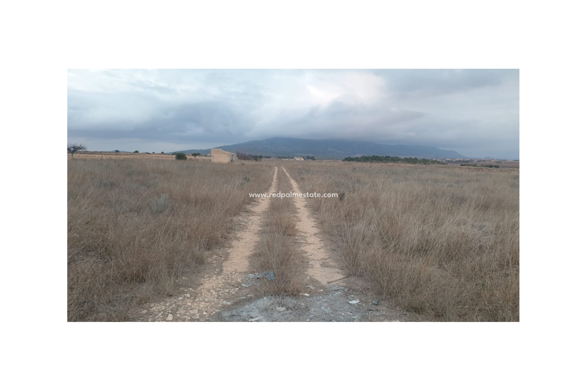 Revente - Parcelle -
Pinoso - Inland