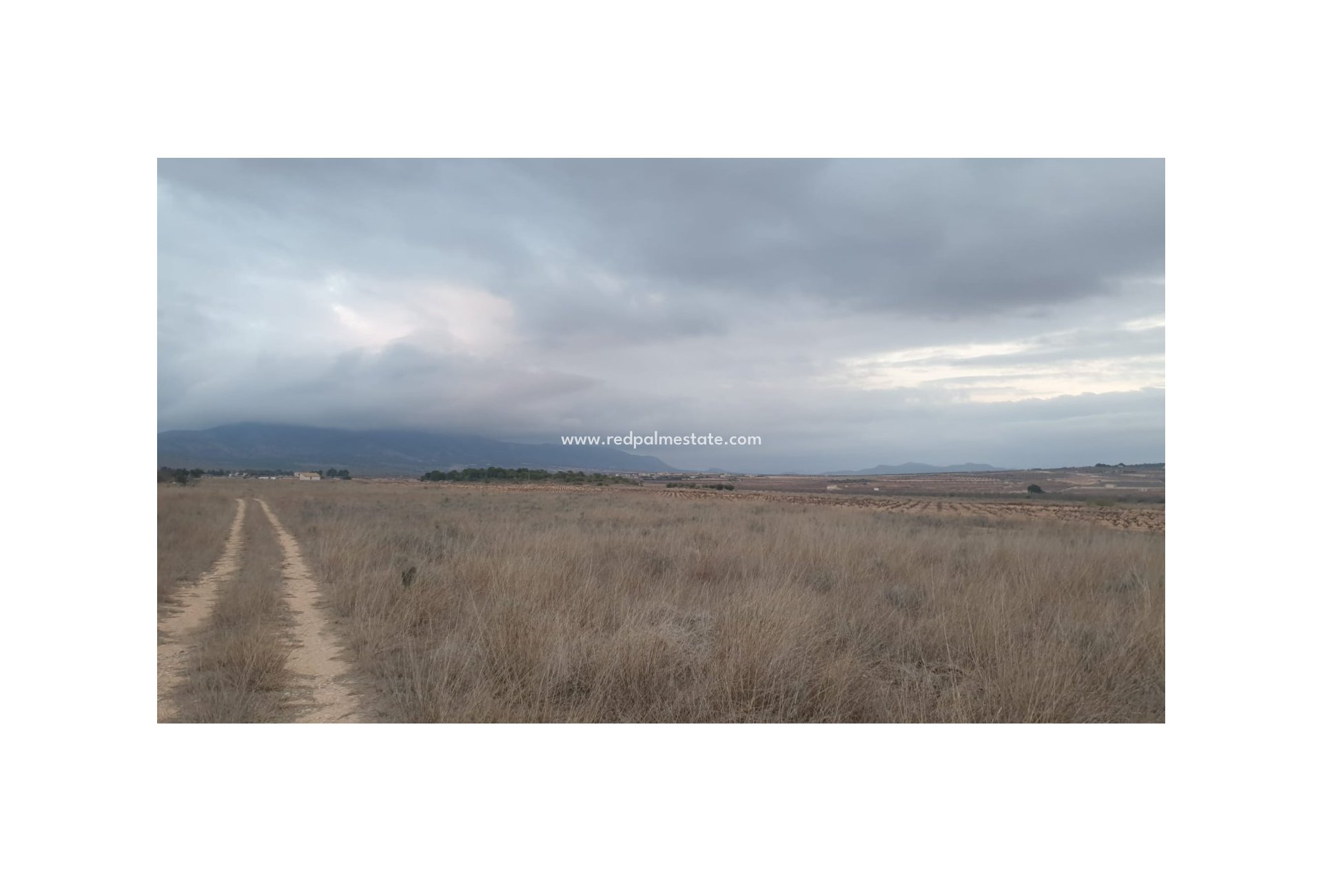 Revente - Parcelle -
Pinoso - Inland