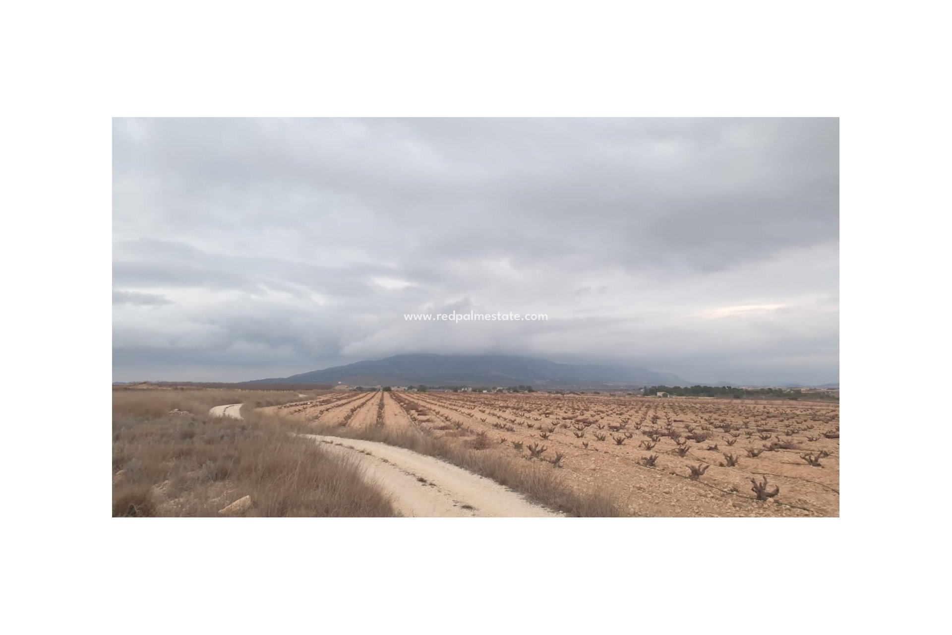 Revente - Parcelle -
Pinoso - Inland