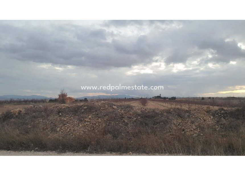 Revente - Parcelle -
Pinoso - Inland