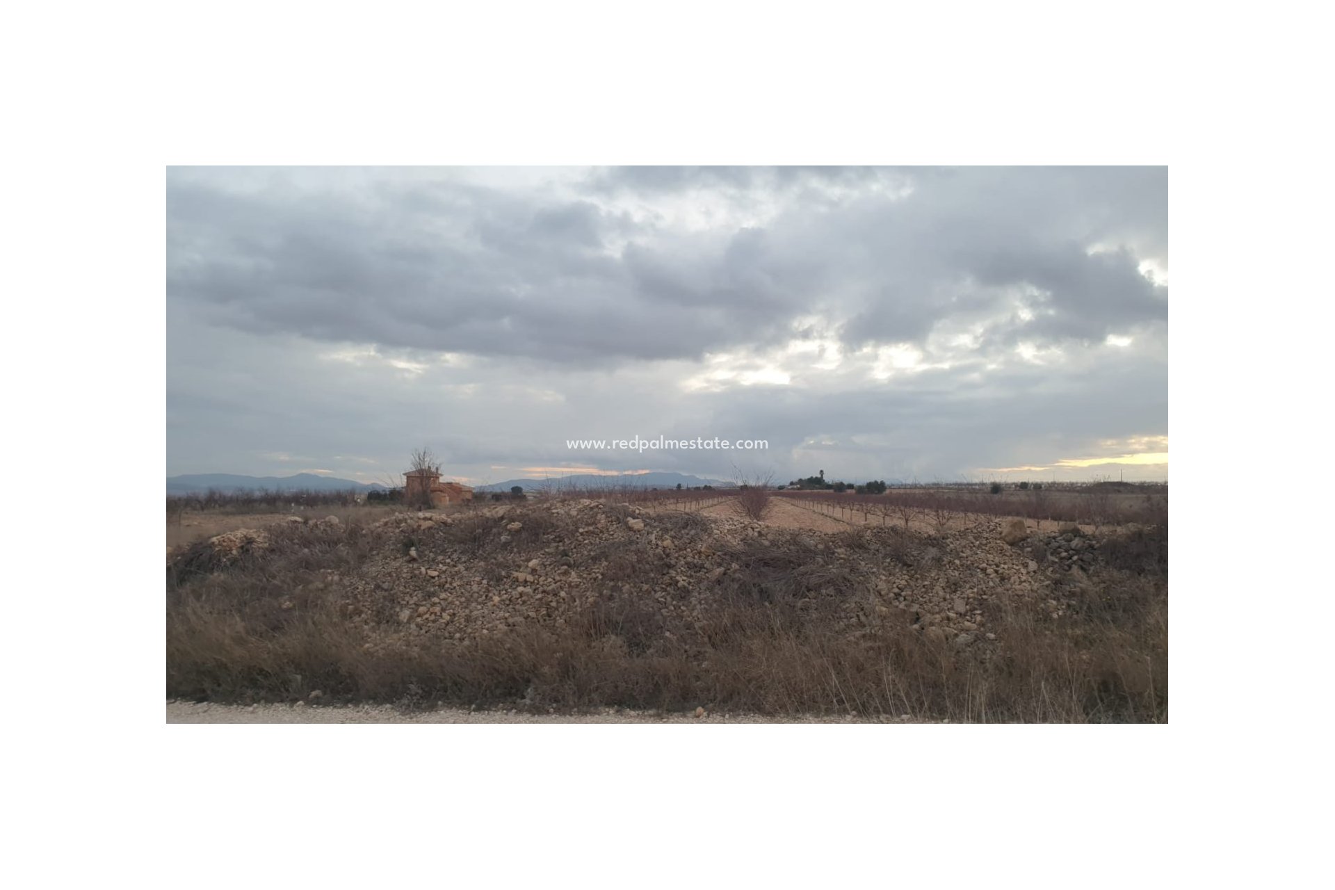Revente - Parcelle -
Pinoso - Inland