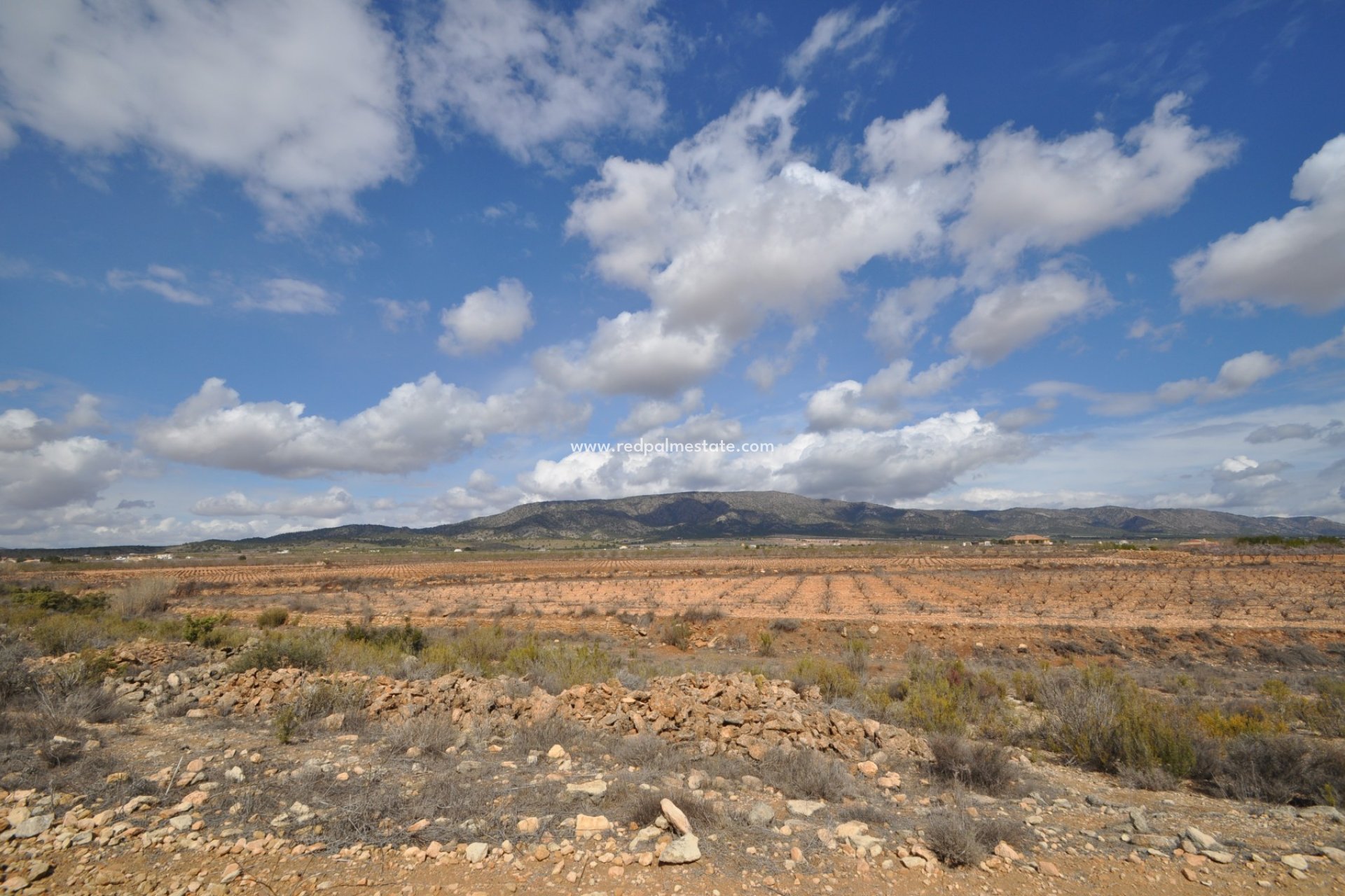 Revente - Parcelle -
Pinoso - Inland