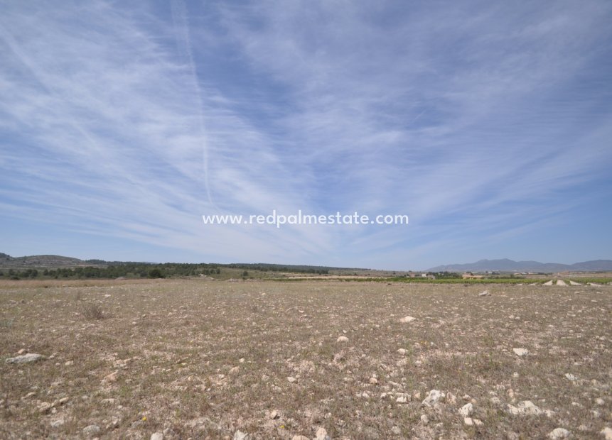 Revente - Parcelle -
Pinoso - Inland