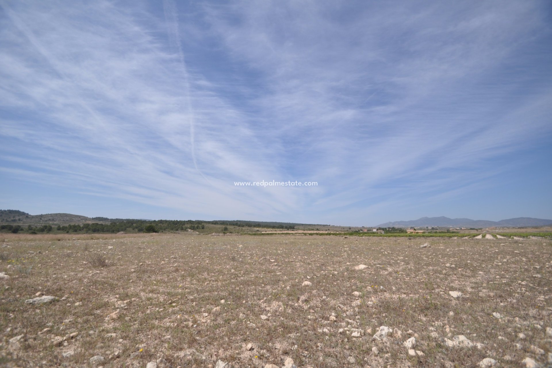 Revente - Parcelle -
Pinoso - Inland