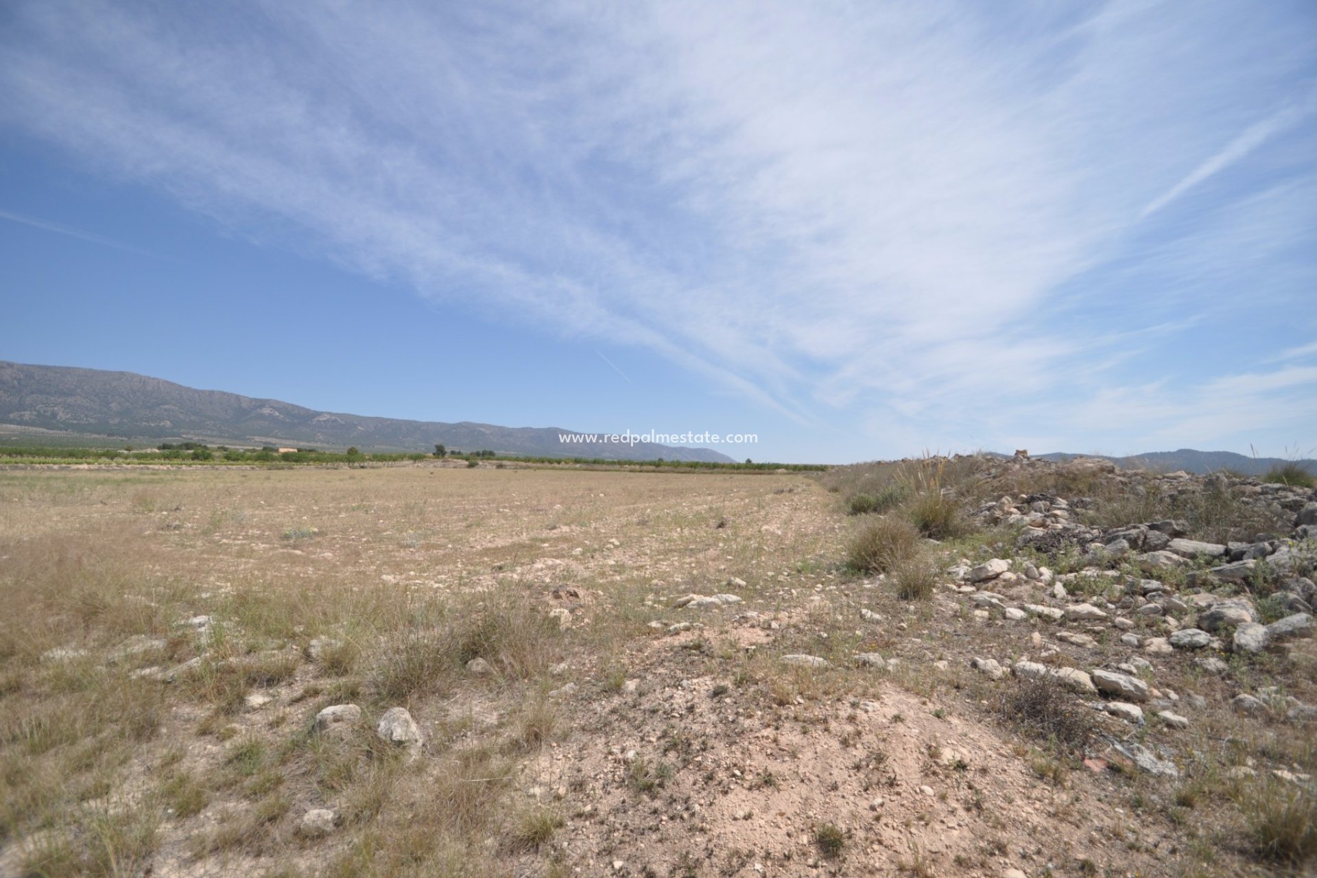 Revente - Parcelle -
Pinoso - Inland