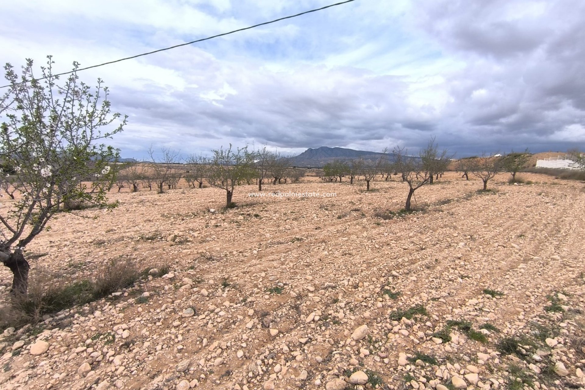 Revente - Parcelle -
Pinoso - Inland