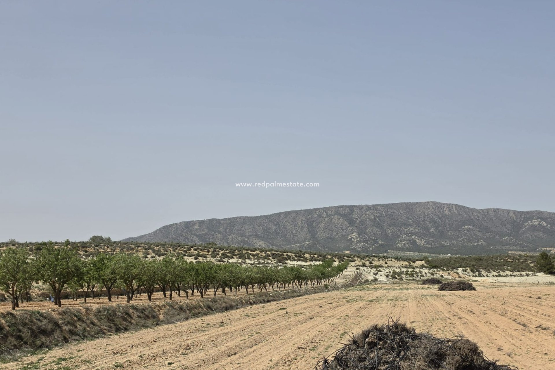 Revente - Parcelle -
Pinoso - Inland