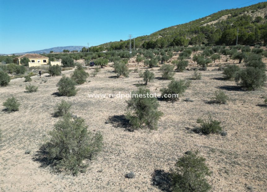 Revente - Parcelle -
Pinoso - Inland