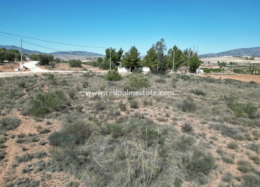 Revente - Parcelle -
Pinoso - Inland