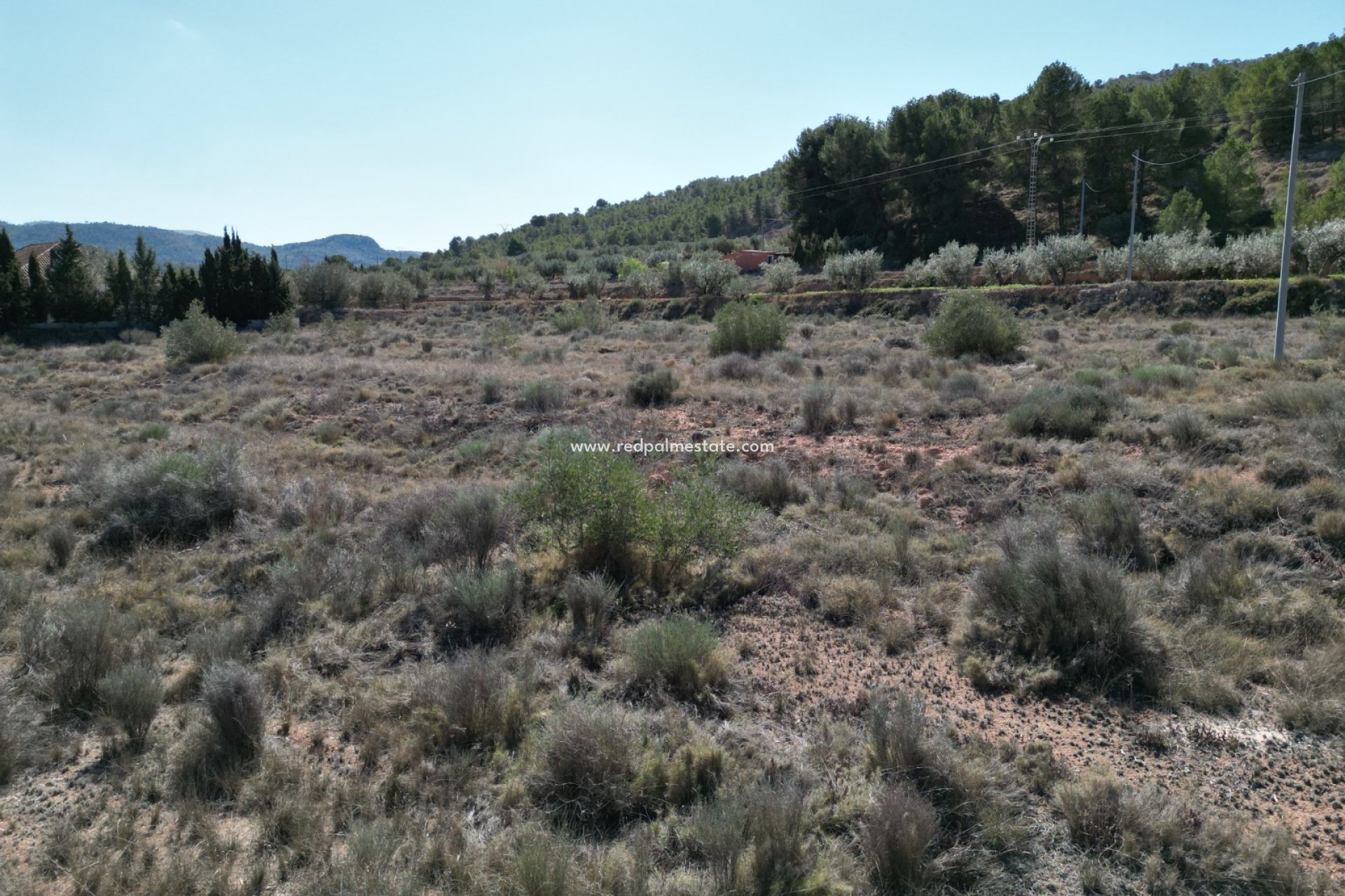 Revente - Parcelle -
Pinoso - Inland