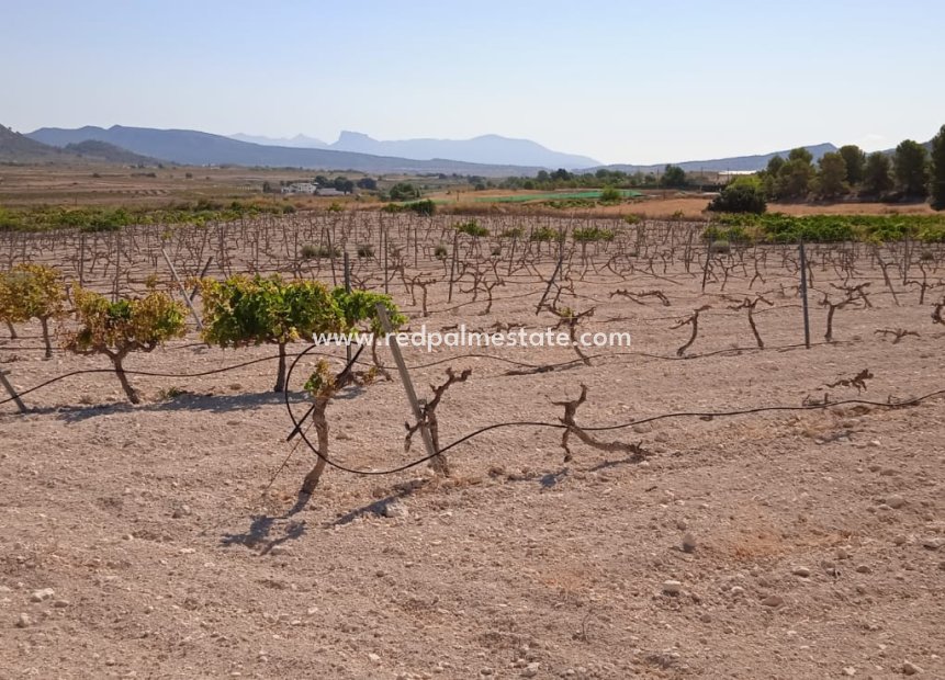 Revente - Parcelle -
Pinoso - Inland