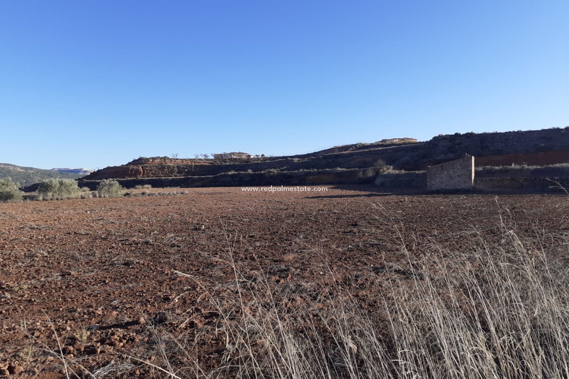 Revente - Parcelle -
Pinoso - Inland