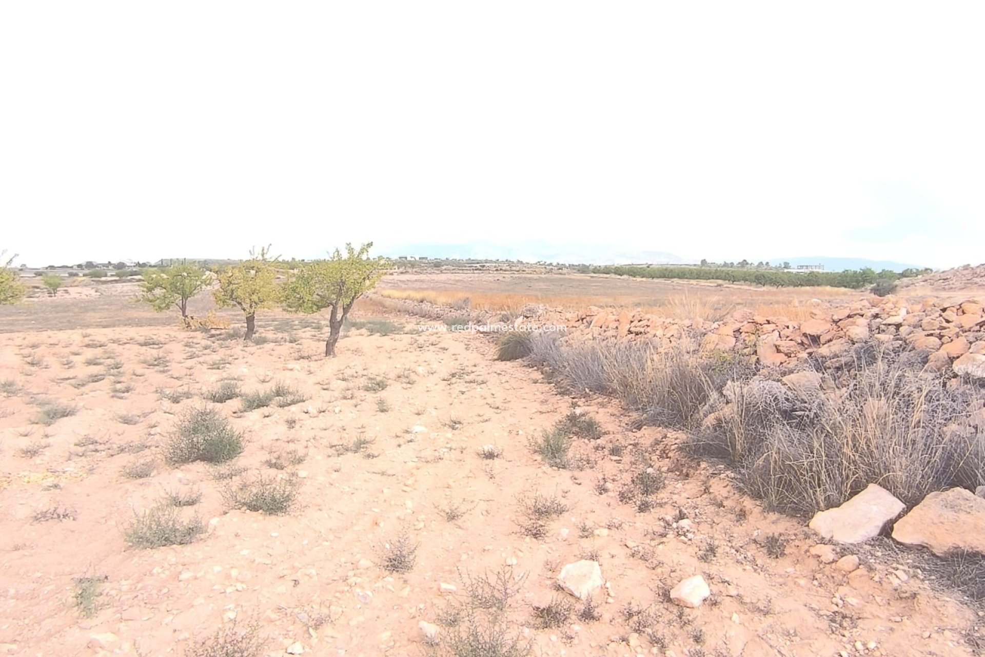 Revente - Parcelle -
Pinoso - Inland