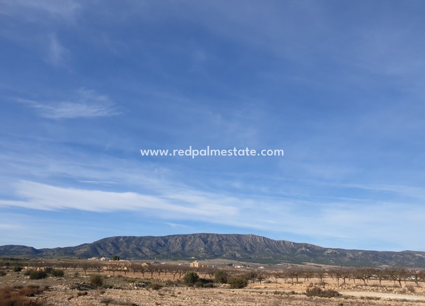 Revente - Parcelle -
Pinoso - Inland