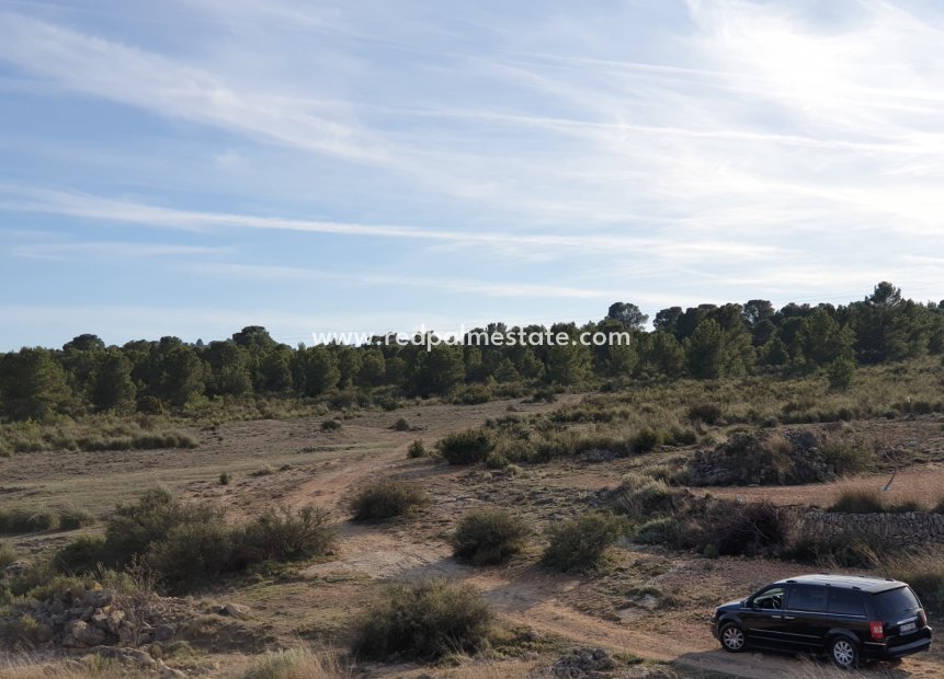Revente - Parcelle -
Pinoso - Inland