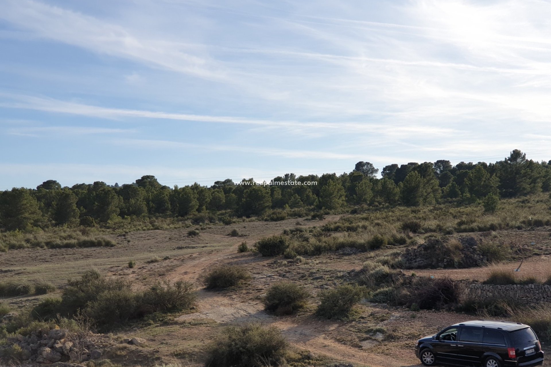 Revente - Parcelle -
Pinoso - Inland