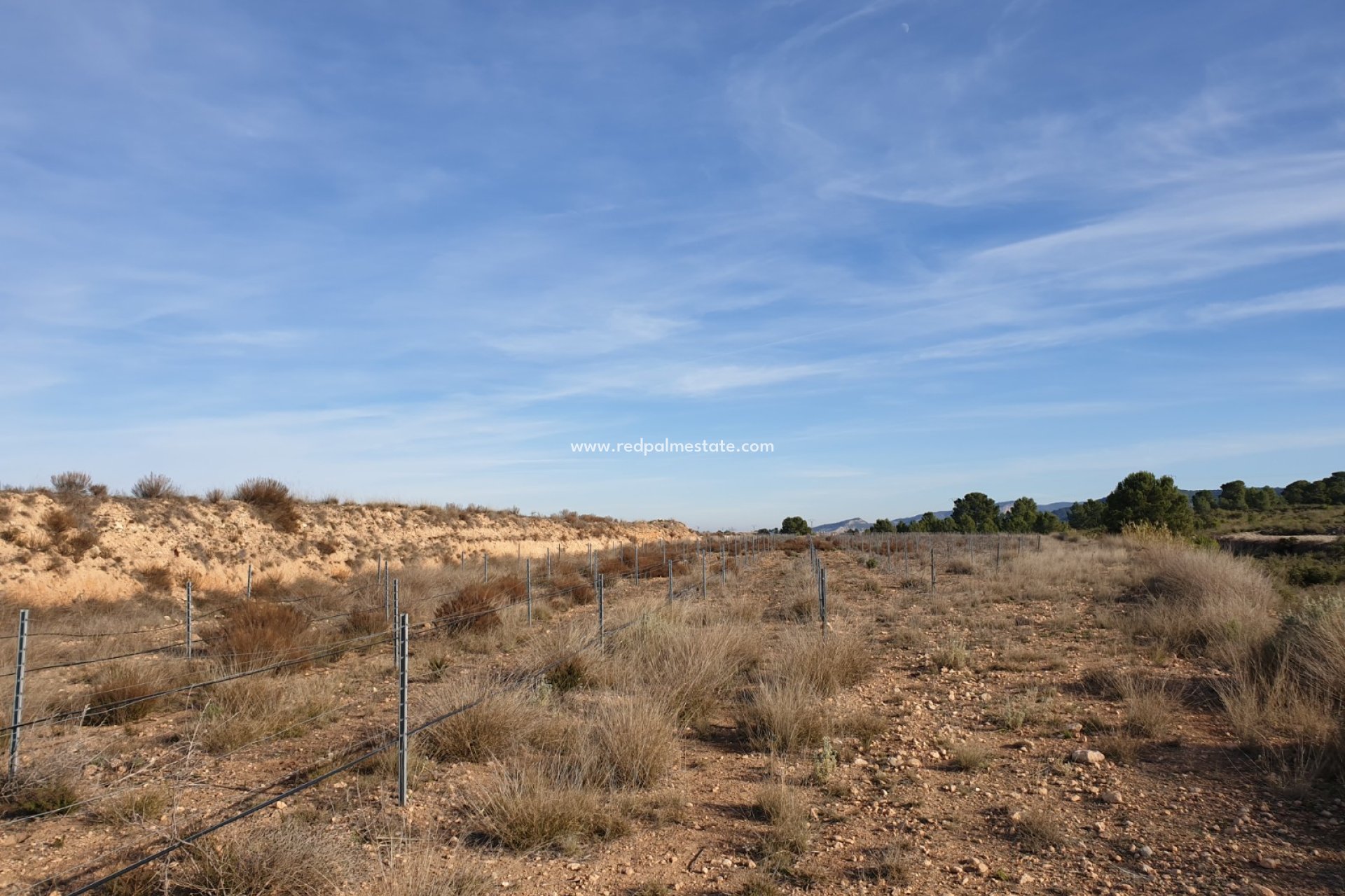 Revente - Parcelle -
Pinoso - Inland