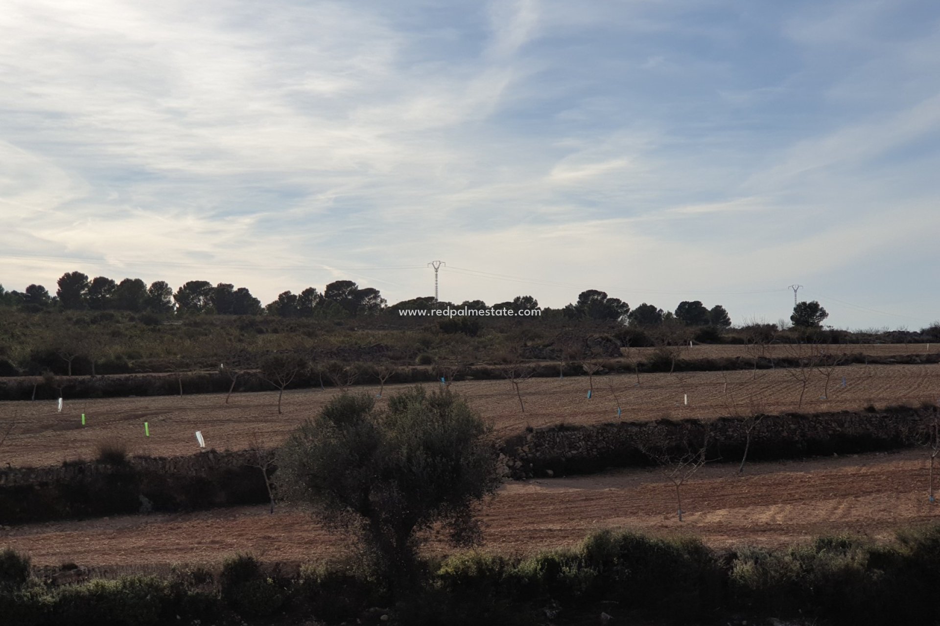 Revente - Parcelle -
Pinoso - Inland