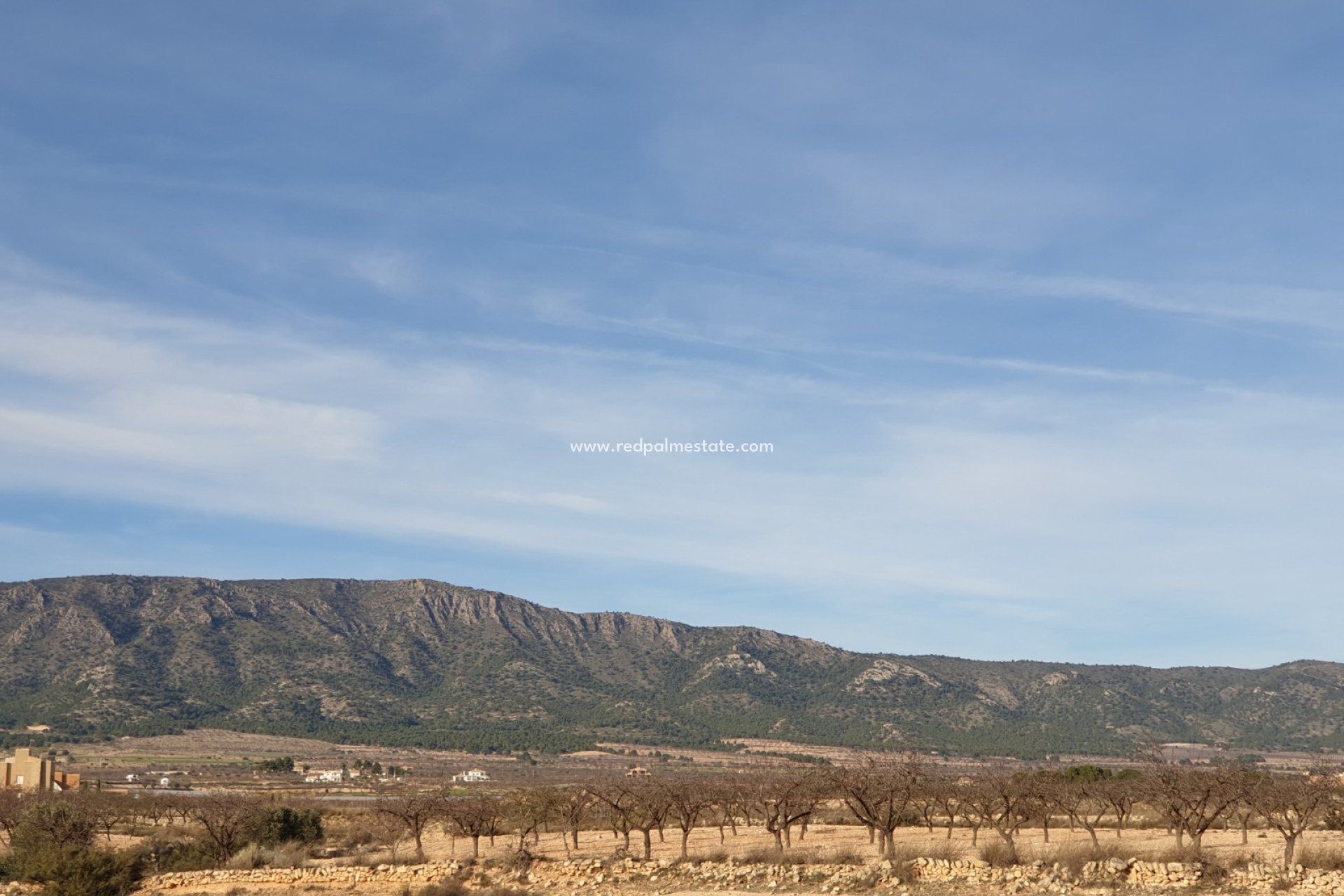 Revente - Parcelle -
Pinoso - Inland