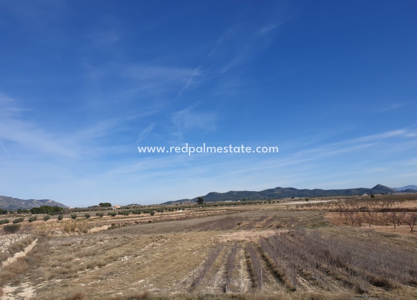 Revente - Parcelle -
Pinoso - Inland