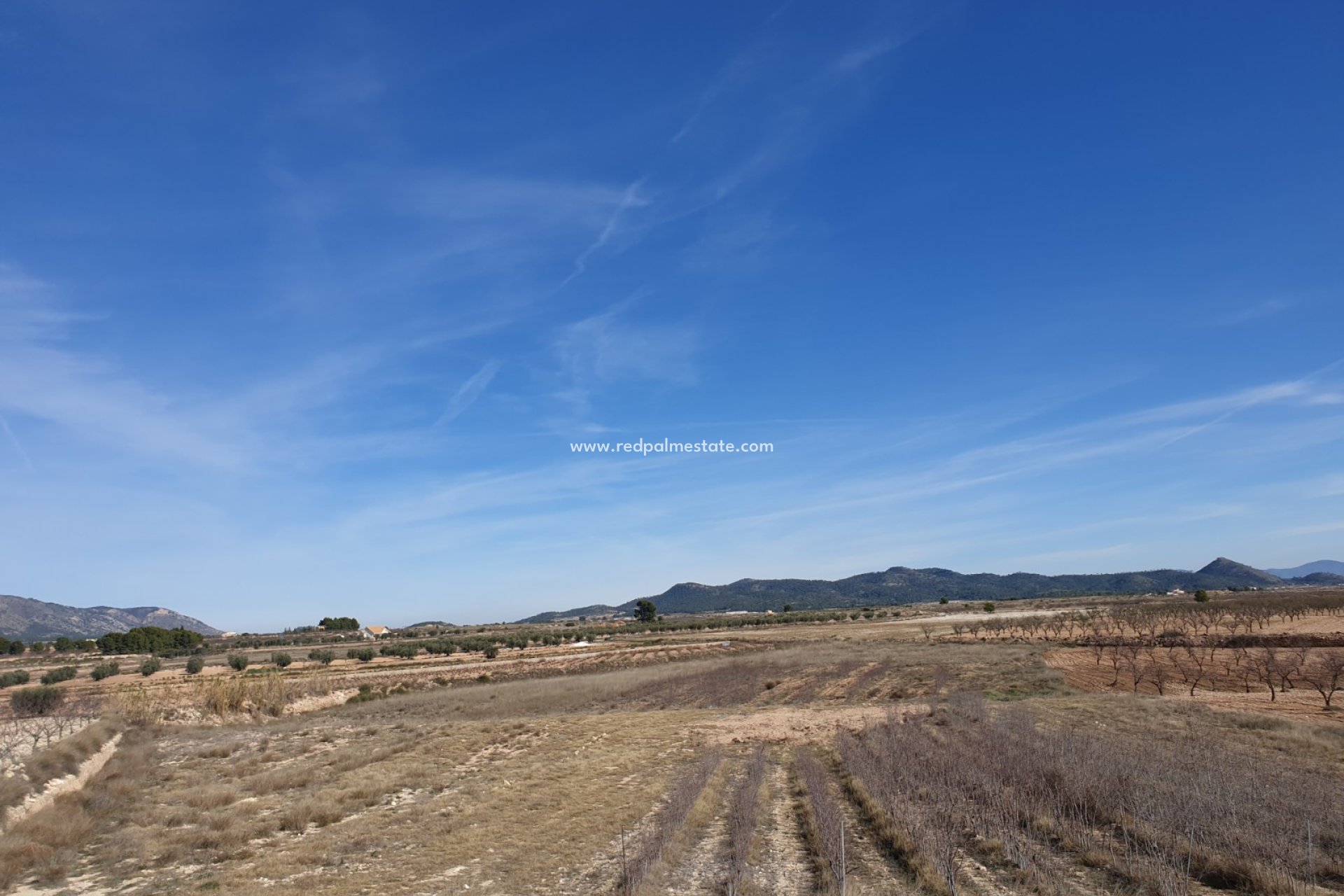 Revente - Parcelle -
Pinoso - Inland