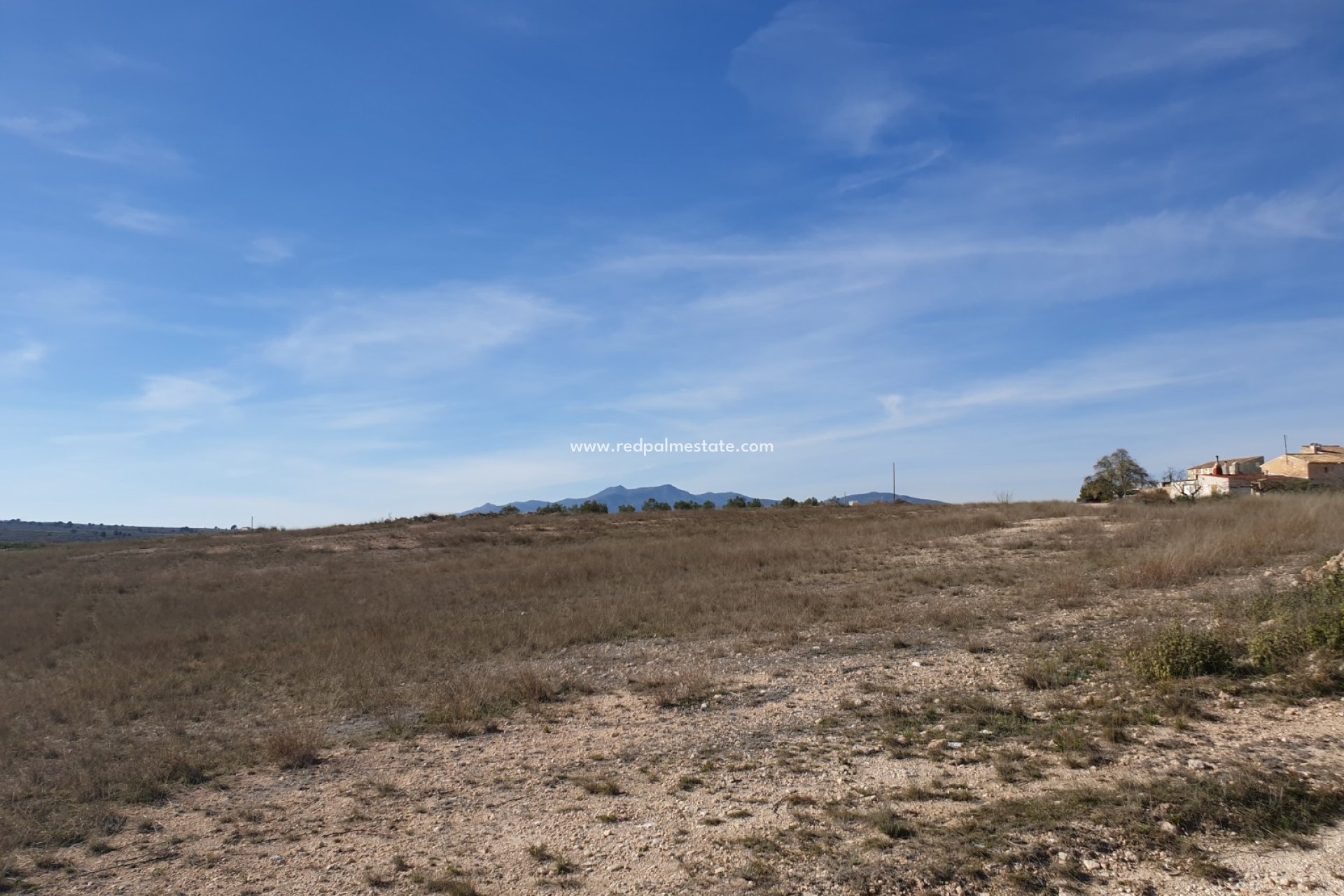 Revente - Parcelle -
Pinoso - Inland