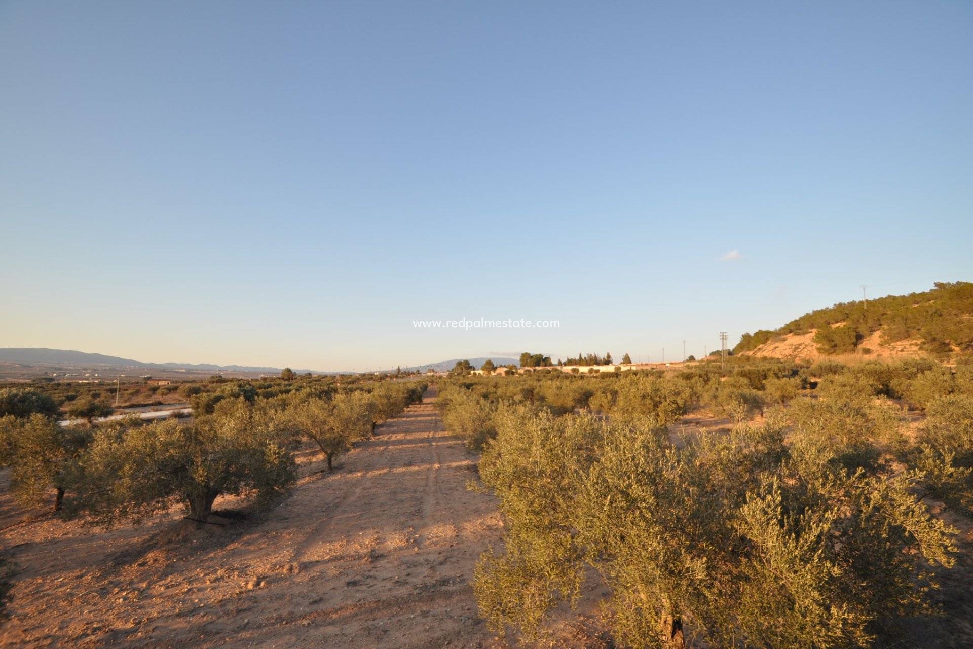 Revente - Parcelle -
Pinoso - Inland