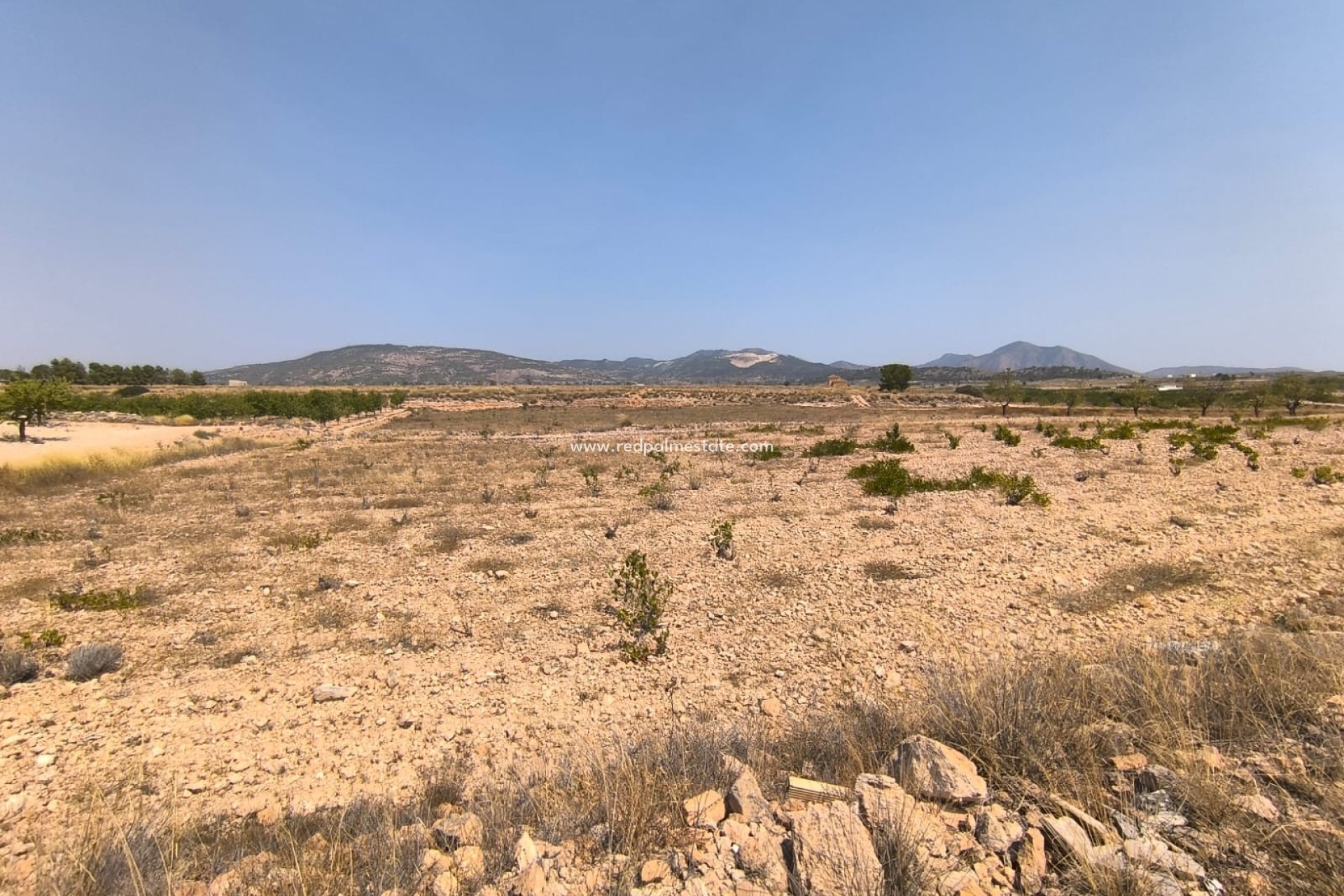 Revente - Parcelle -
Pinoso - Inland